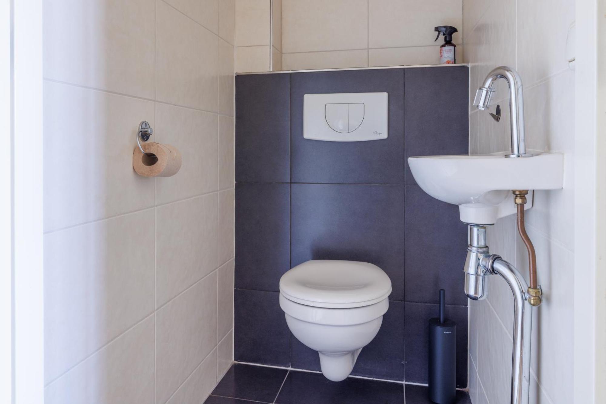 Zilt Apartment Hollum (Ameland)